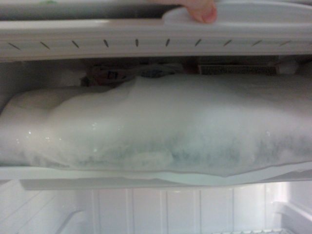 Stranded Lean Cuisines in an Avalanche of Freezer Burn